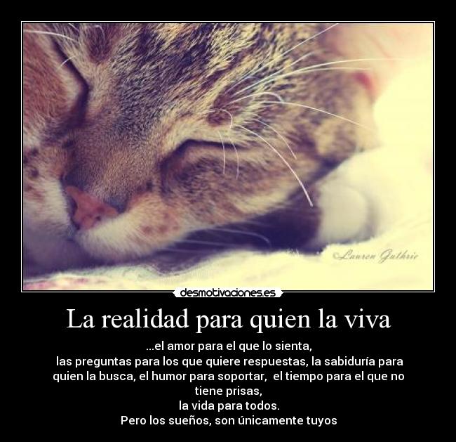 La realidad para quien la viva - ...el amor para el que lo sienta,
 las preguntas para los que quiere respuestas, la sabiduría para
quien la busca, el humor para soportar,  el tiempo para el que no
tiene prisas,
  la vida para todos. 
Pero los sueños, son únicamente tuyos