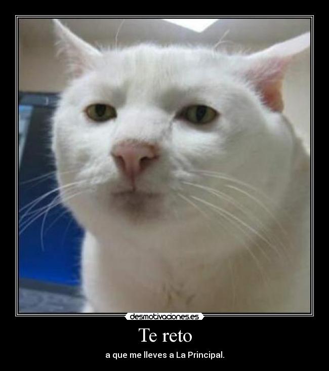 Te reto -