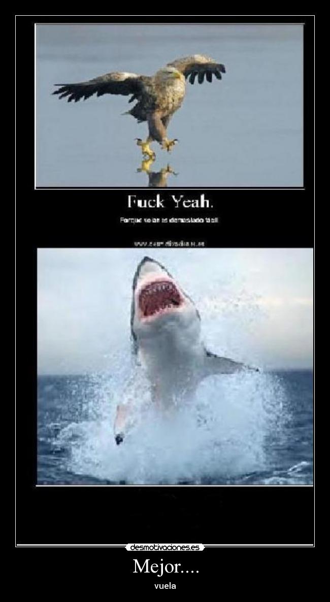Mejor.... - 