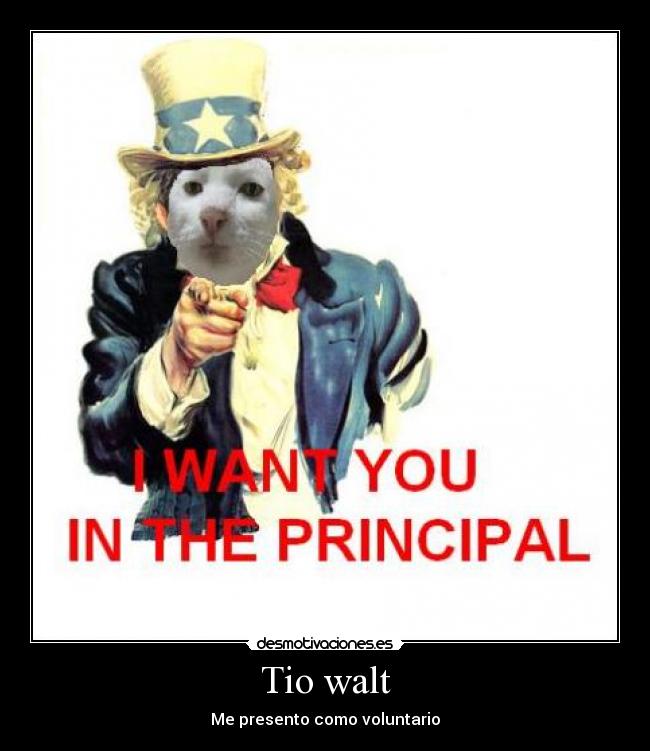Tio walt - Me presento como voluntario