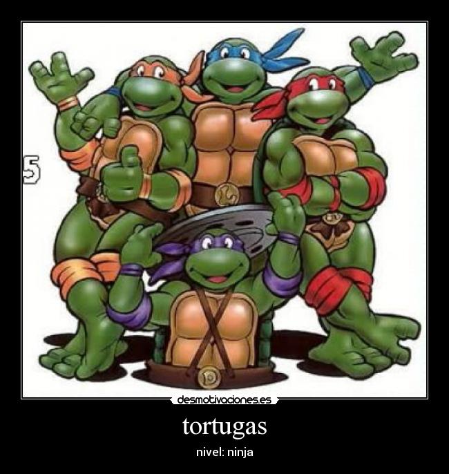tortugas - 