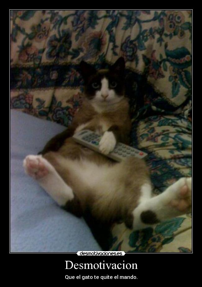 Desmotivacion - 