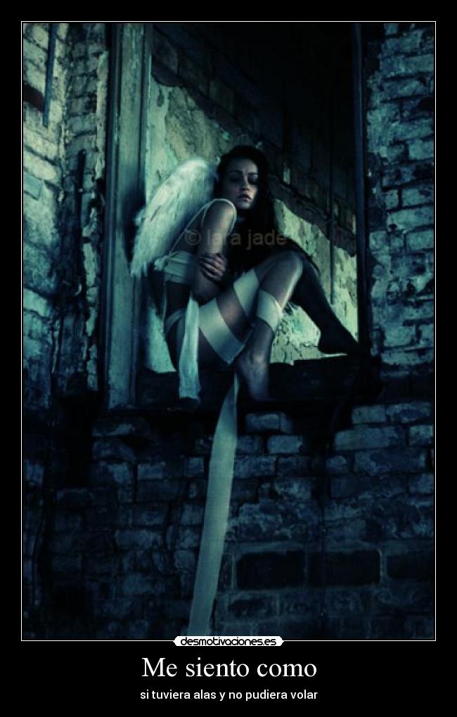 carteles volar desmotivaciones