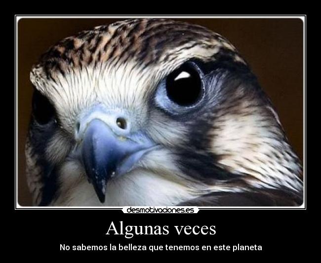 Algunas veces -