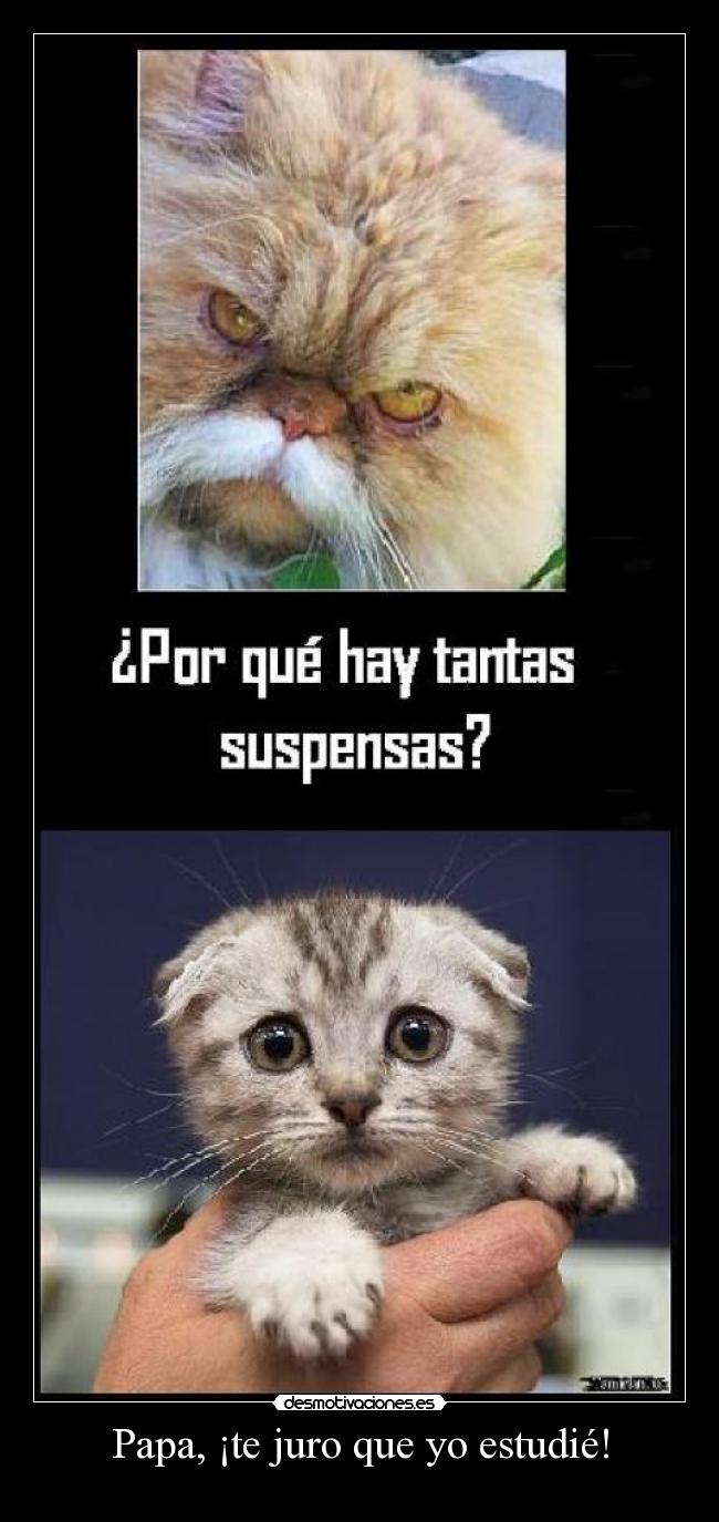 carteles humor desmotivaciones