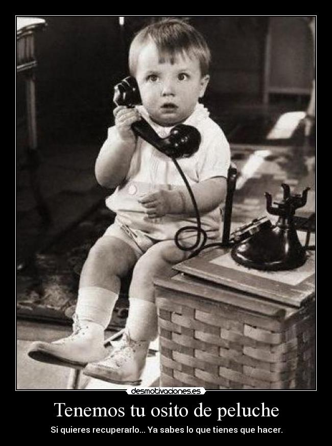 carteles secuestro oso peluche desmotivaciones