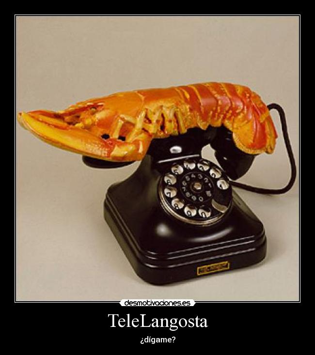 TeleLangosta - ¿dígame?