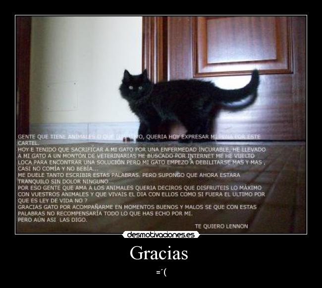 Gracias  - 