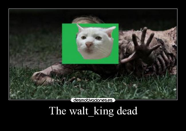 The walt_king dead -