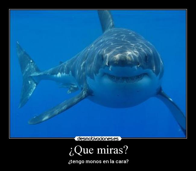 carteles 00000 desmotivaciones