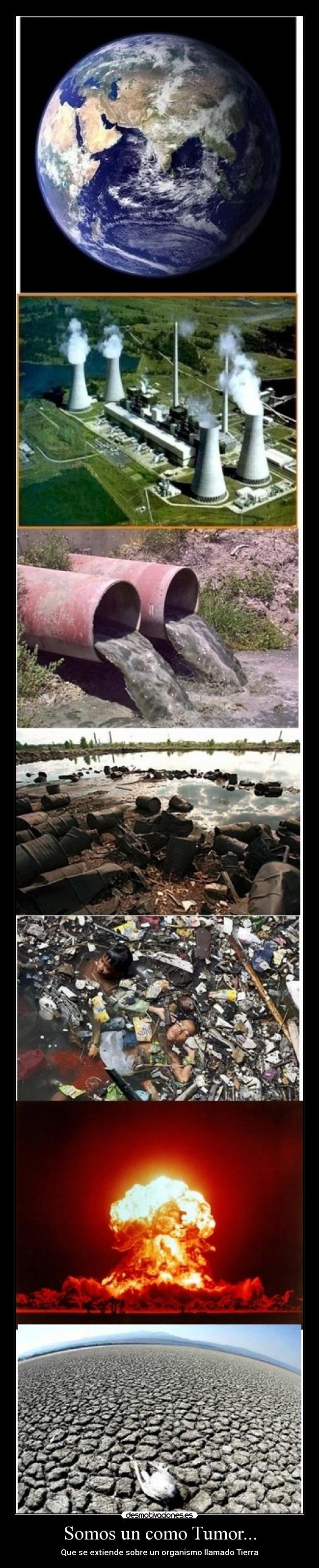 carteles tierra desmotivaciones