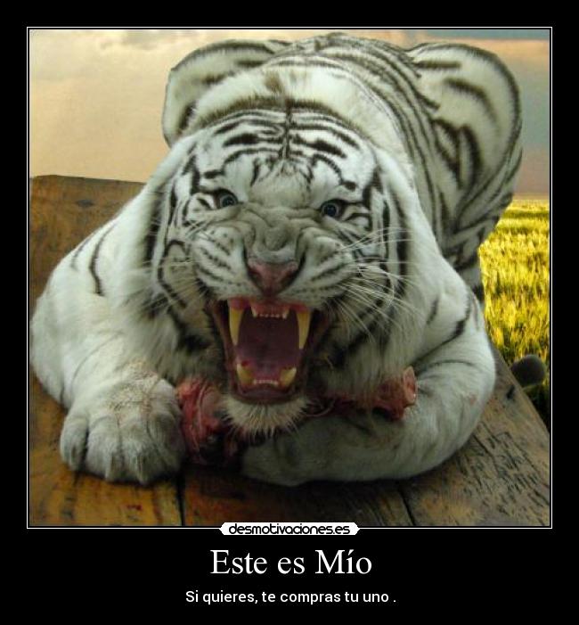 carteles animales desmotivaciones