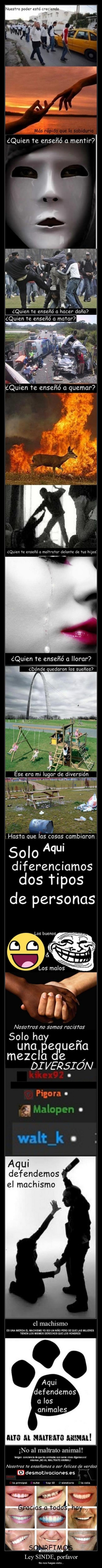 Ley SINDE, porfavor - 