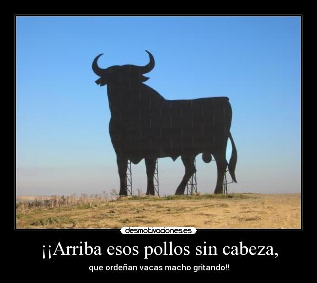¡¡Arriba esos pollos sin cabeza, - 