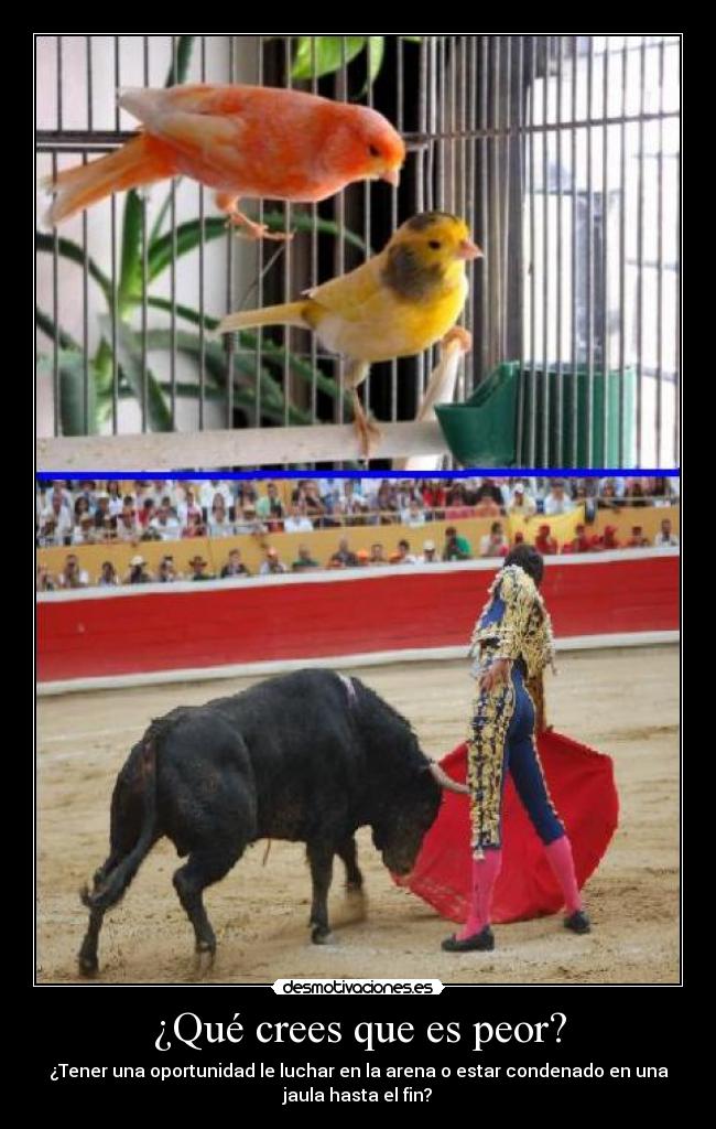 ¿Qué crees que es peor? - 