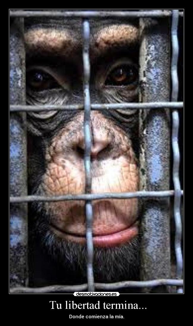 Tu libertad termina... - Donde comienza la mía.