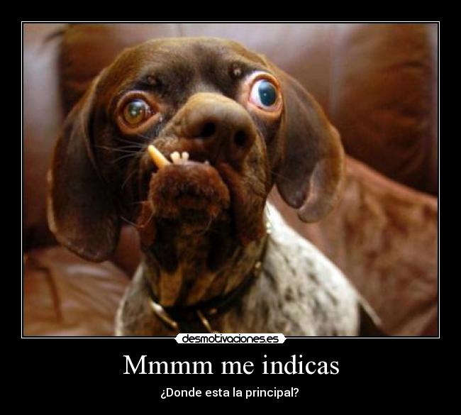 Mmmm me indicas -