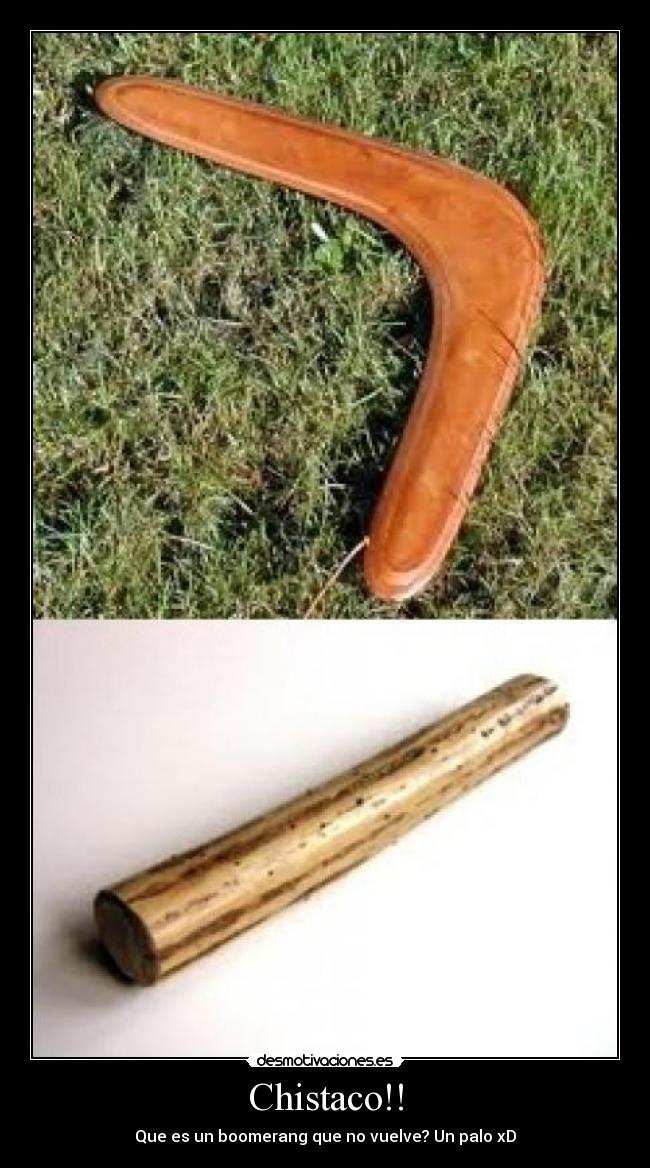 Chistaco!! - Que es un boomerang que no vuelve? Un palo xD