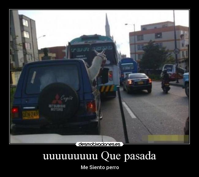 uuuuuuuuu Que pasada - Me Siento perro