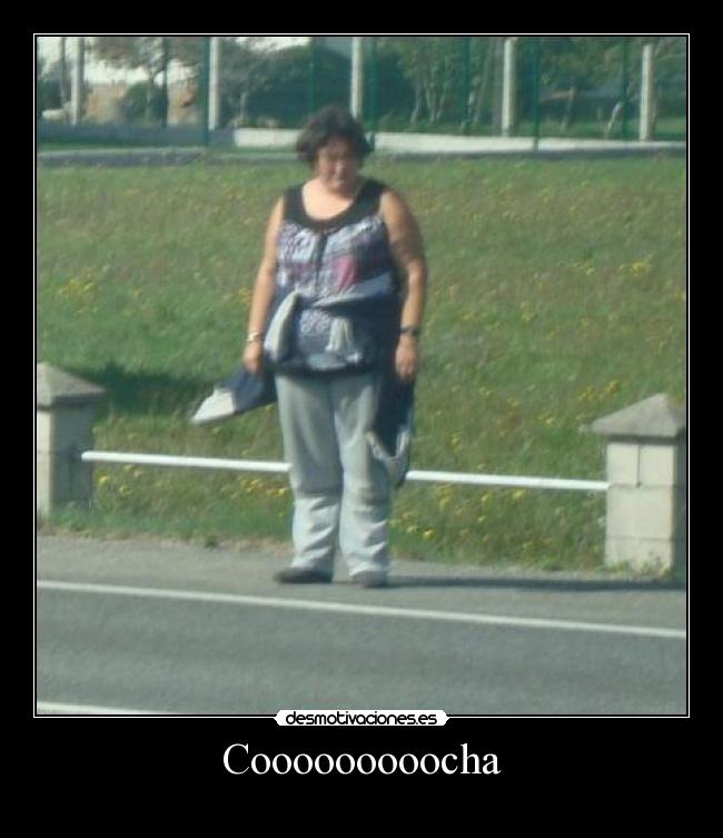 Cooooooooocha - 
