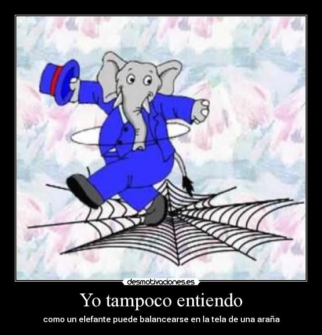 Yo tampoco entiendo -