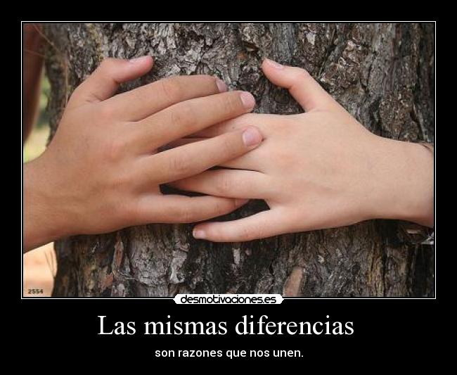 Las mismas diferencias -