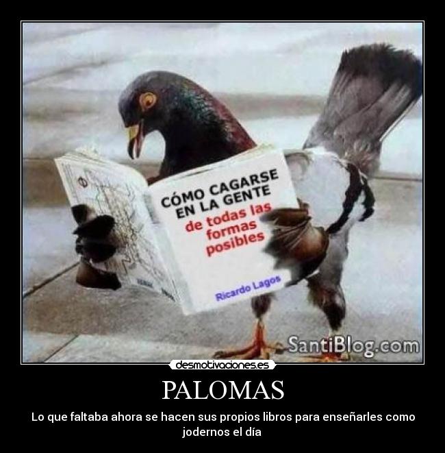 PALOMAS - 