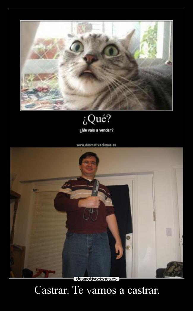 Castrar. Te vamos a castrar. - 