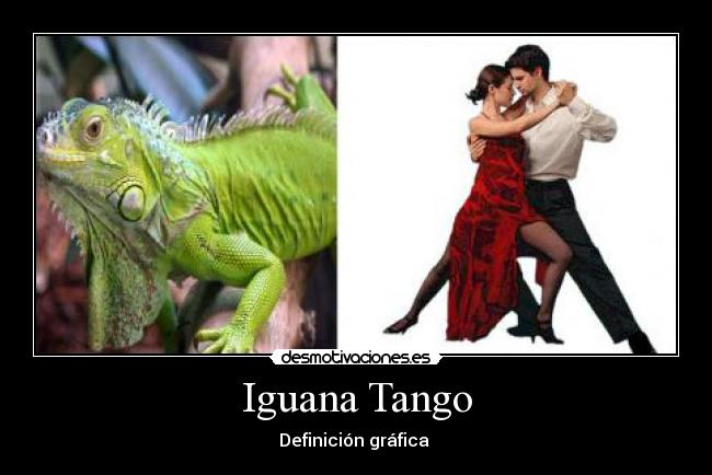 carteles iguana tango desmotivaciones
