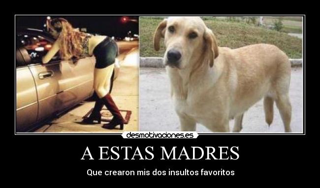 A ESTAS MADRES - Que crearon mis dos insultos favoritos