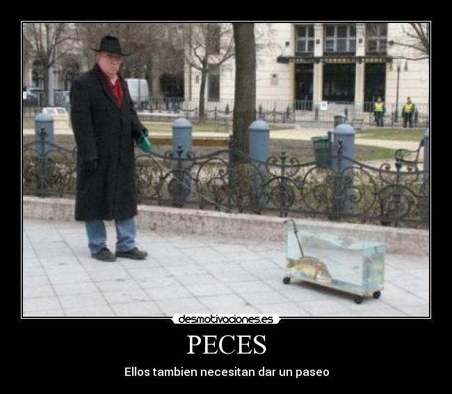 PECES -