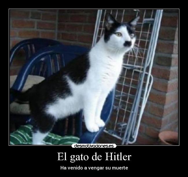 El gato de Hitler -