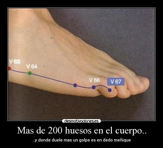 Mas de 200 huesos en el cuerpo.. - ..y donde duele mas un golpe es en dedo meñique