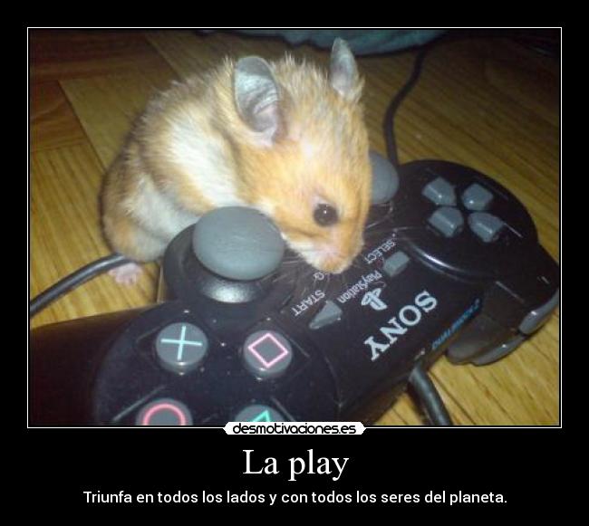 La play -