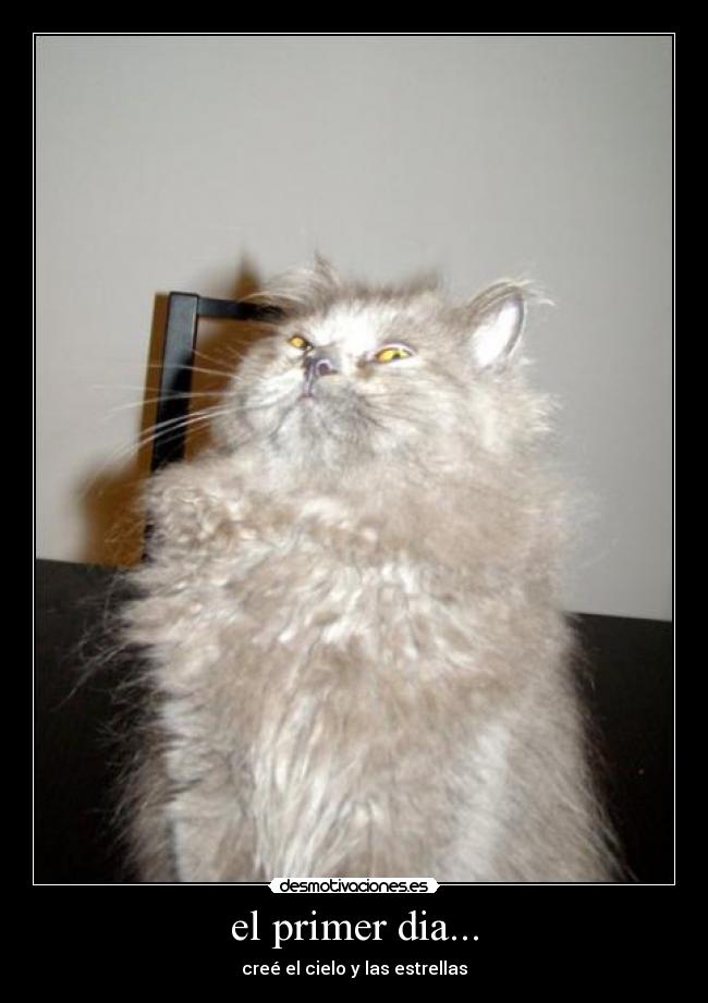 el primer dia... -