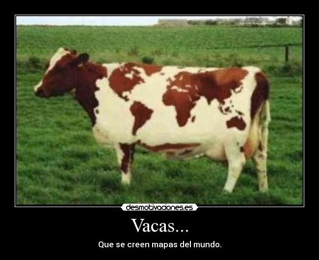 Vacas... - Que se creen mapas del mundo.