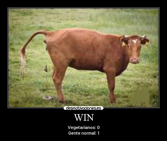 WIN - Vegetarianos: 0
Gente normal: 1