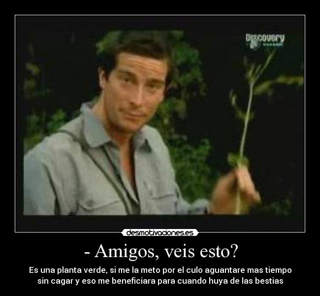 - Amigos, veis esto? - Es una planta verde, si me la meto por el culo aguantare mas tiempo
sin cagar y eso me beneficiara para cuando huya de las bestias