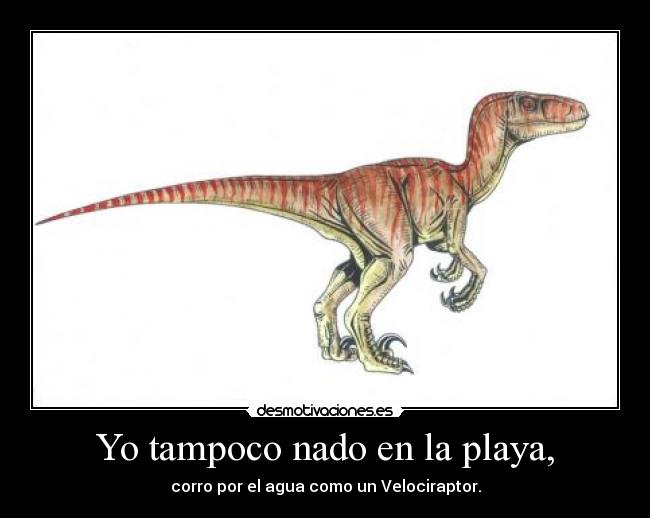 Yo tampoco nado en la playa, - corro por el agua como un Velociraptor.