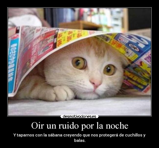 Oir un ruido por la noche - Y taparnos con la sábana creyendo que nos protegerá de cuchillos y balas.