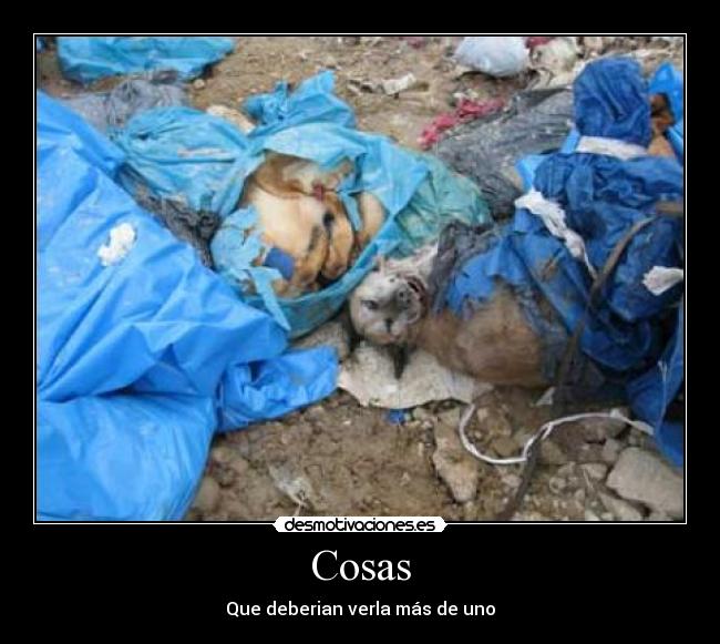 carteles cosas desmotivaciones