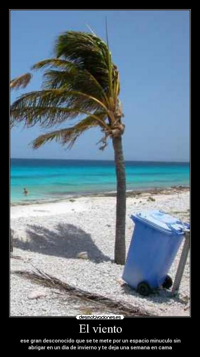 El viento - ese gran desconocido que se te mete por un espacio minuculo sin
abrigar en un día de invierno y te deja una semana en cama