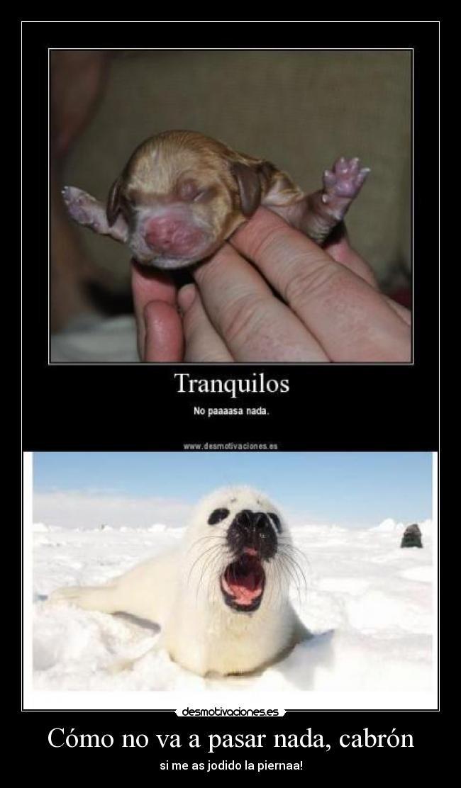 Cómo no va a pasar nada, cabrón - si me as jodido la piernaa!