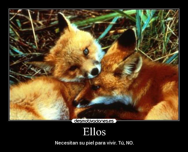 Ellos - Necesitan su piel para vivir. Tú, NO.