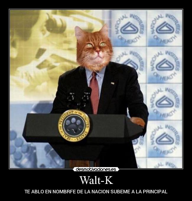 Walt-K -