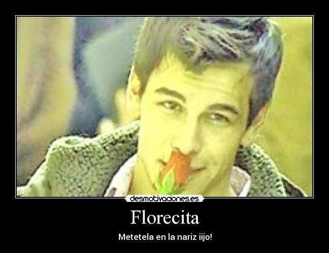 carteles florecitaa desmotivaciones