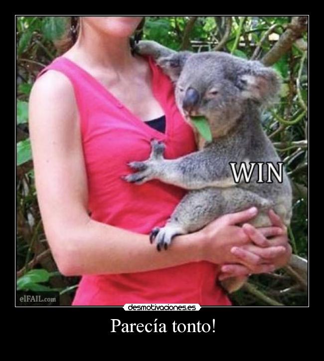 carteles tonto desmotivaciones desmotivaciones