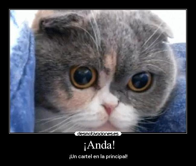 Imágenes y Carteles de DEMINI | Desmotivaciones