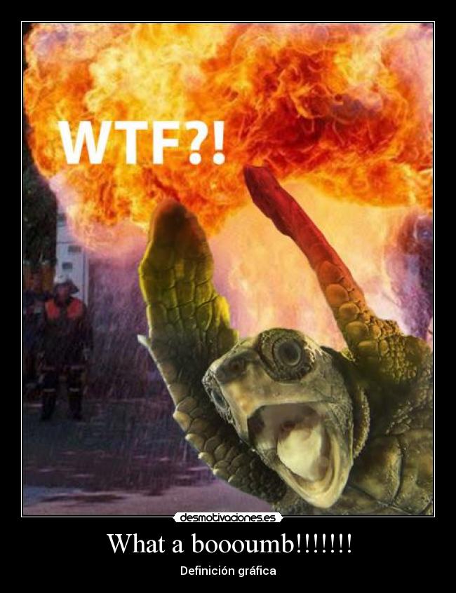 carteles boumb tortuga gracia what desmotivaciones