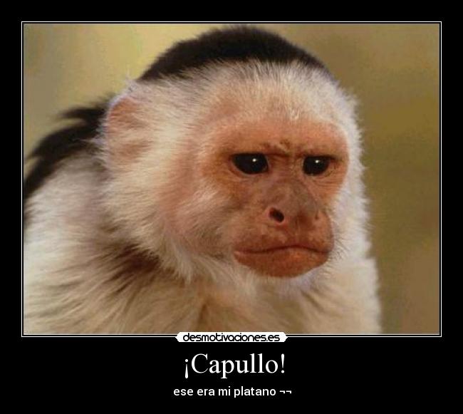 carteles nacktala desmotivaciones